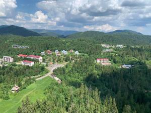 an aerial view of a village in the mountains at ТСЦ Тисовець in Tysovets