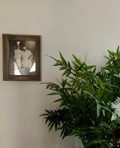 a picture of a couple on a wall next to a plant at Appart chic et cosy/centre ville/ 20min de Paris in Maisons-Laffitte