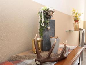 Foto sihtkohas Aschau asuva majutusasutuse Apartment Schweiberer-3 by Interhome galeriist