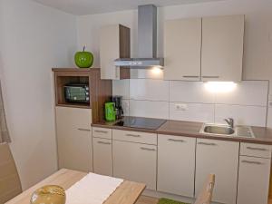 Kuchyň nebo kuchyňský kout v ubytování Apartment Schaller by Interhome
