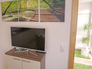 TV a/nebo společenská místnost v ubytování Apartment Schaller by Interhome