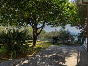 Táj Show holiday homes közelében