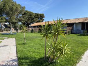 Zahrada ubytování Hôtel du Pont Blanc + 47 fotografií