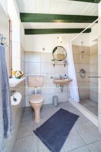 a bathroom with a toilet and a sink at Holiday Home Maslinada in Milna