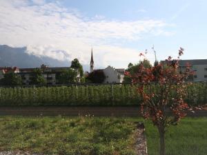 Ein Baum auf einem Feld mit einem Gebäude und einer Kirche in der Unterkunft Apartment Tivoli by Interhome in Innsbruck