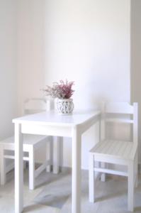 biały stół i krzesło z doniczką w obiekcie Hippocampus Studios 2' walk from the sea w mieście Moutsoúna