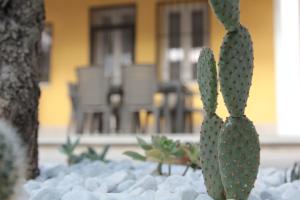 Kép AGAS Exclusive Apartment szállásáról Catanzaróban a galériában