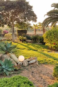 Vonkajšia záhrada v ubytovaní Sea Sunset Villa on the west side of Favignana