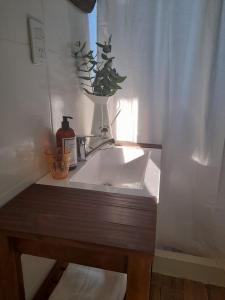 un lavabo con una botella de jabón y una planta en La Narcisa en Pehuajó