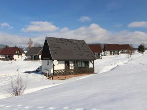 Holiday Home Holiday Hill 42 by Interhome v zime