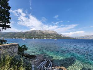 Fotografia z galérie ubytovania Apartment Željković na Korčuli