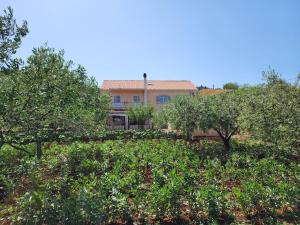Fotografia z galérie ubytovania Apartment Željković na Korčuli