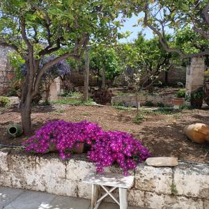 Zahrada ubytování Masseria Ricci