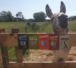 a donkey standing next to a fence with posters on it at Ferme de Chiuni in Cargèse
