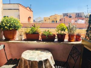 balkon z doniczkami i stołem na gzymsie w obiekcie Green Guesthouse w Rzymie