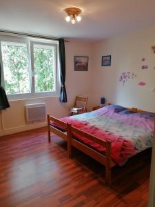 1 dormitorio con 1 cama y 2 ventanas en Gite chez Pierrette en Valence-sur-Baïse