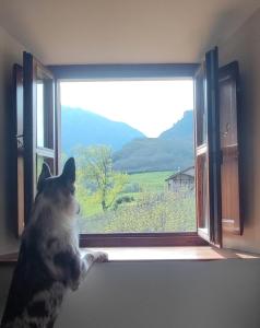 Galeriebild der Unterkunft Posada la escuela - Bed&Breakfast in Cicera + 28 Fotos