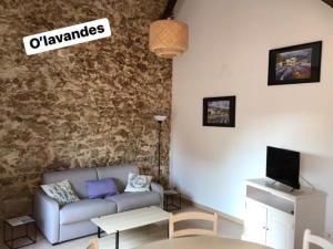 een woonkamer met een bank en een tv bij O’gîtes des colombes in Colombiers