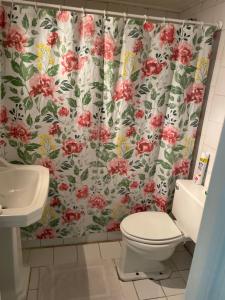 baño con cortina de ducha con flores rojas en Roommate viña, en Viña del Mar