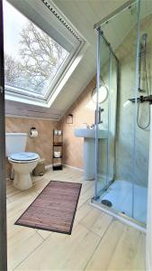 a bathroom with a shower and a toilet and a sink at Birchbank in Roybridge
