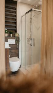 a bathroom with a toilet and a glass shower at Rajskie Uroczysko Apartamenty Jacuzzi Sauna in Rajskie Sakowczyk