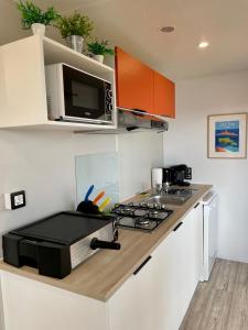 a kitchen with a stove and a microwave at Mobil Home superbe Vue Mer St Raphaël in Saint-Raphaël