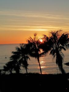 zwei Palmen am Strand bei Sonnenuntergang in der Unterkunft Shearwaters - Sounds of the sea in Funchal