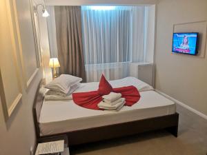 Afbeelding uit fotogalerij van Pensiunea Clasic in Buşteni