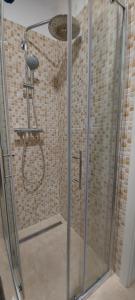 a shower with a glass door in a bathroom at Bitini Farm Apartment in Gračišče