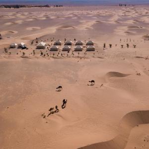 un grupo de animales caminando por el desierto en Beldi camp, en Merzouga
