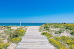 a wooden path leading to the ocean on a beach at Salamar Saler Golf in El Saler