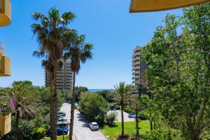 a view of a street with palm trees and a building at Salamar Saler Golf in El Saler