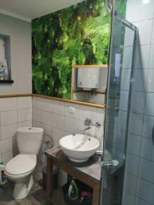 Ένα μπάνιο στο Domek na Leśnej +54 φωτογραφίες