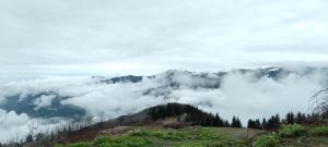 widok na górę pokrytą chmurami w obiekcie Erdem apart otel w mieście Trabzon