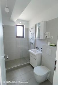 Phòng tắm tại Garsoniera de la mare