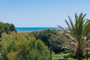 a palm tree with the ocean in the background at Salamar Saler Golf in El Saler