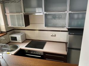 Kuchyň nebo kuchyňský kout v ubytování Apartament Kąkolowa