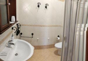 a bathroom with a sink and a toilet at L'Azzurro Apartment in Valderice