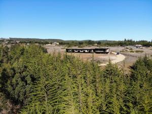 an aerial view of a building behind trees at 360 Lodge Pichilemu in Pichilemu