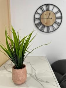 a plant in a pot on a table with a clock at Nest for rest in Karpathos Town