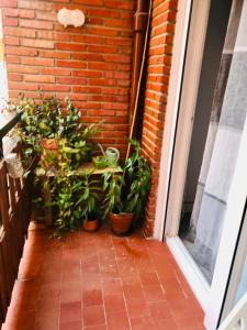塔拉韋拉－德拉雷納的住宿－Estepeña，砖墙旁有盆栽的门廊
