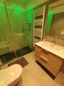 Kúpeľňa v ubytovaní Casa vacanze Heidi e Peter Val di Rabbi