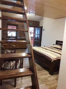 a bedroom with a bunk bed and a wooden ladder at Tabačov Moravia in Brumovice