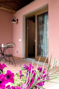 Ein paar rosa Blumen vor einem Haus in der Unterkunft Agriturismo L'Aquilone in Magliano in Toscana