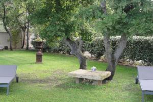 una panchina seduta sull'erba accanto a un albero di Propriété avec vues panoramiques a Cabrières-dʼAvignon