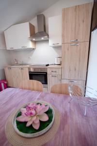 Kuchyň nebo kuchyňský kout v ubytování Apartment Josipa