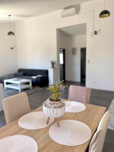 a wooden table with a potted plant on top of it at Apartman Ritta in Biograd na Moru
