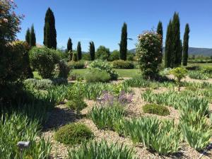 un giardino con molte piante, alberi e cespugli di Rinidia Bio a Sovicille