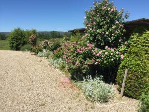 um jardim com flores cor-de-rosa e uma sebe em Rinidia Bio em Sovicille