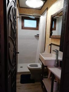 a small bathroom with a toilet and a sink at Moinho Azenha do campelo in Vila Verde